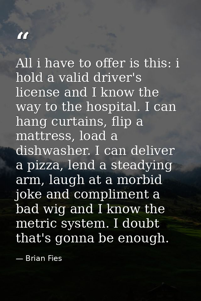 All i have to offer is this: i hold a valid driver's license and I know the way to the hospital. I can hang curtains, fl — Brian Fies