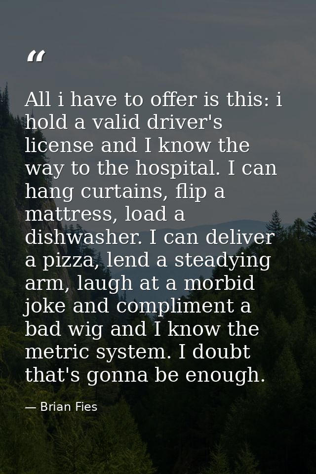 All i have to offer is this: i hold a valid driver's license and I know the way to the hospital. I can hang curtains, fl — Brian Fies