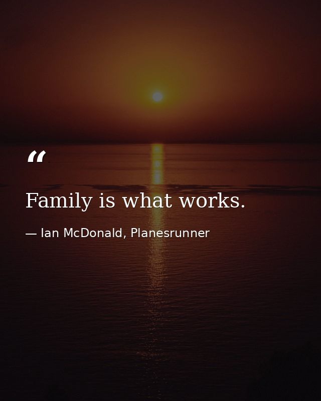 Family is what works. — Ian McDonald, Planesrunner