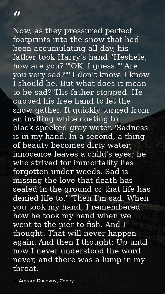 Now, as they pressured perfect footprints into the snow that had been accumulating all day, his father took Harry's hand — Amram Ducovny, Coney