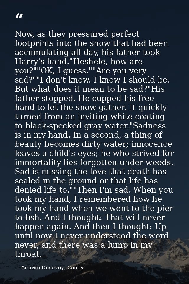 Now, as they pressured perfect footprints into the snow that had been accumulating all day, his father took Harry's hand — Amram Ducovny, Coney