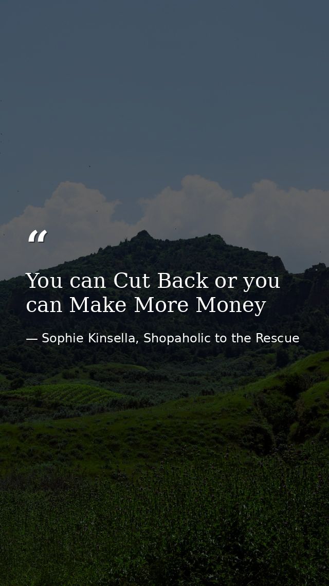 You can Cut Back or you can Make More Money — Sophie Kinsella, Shopaholic to the Rescue