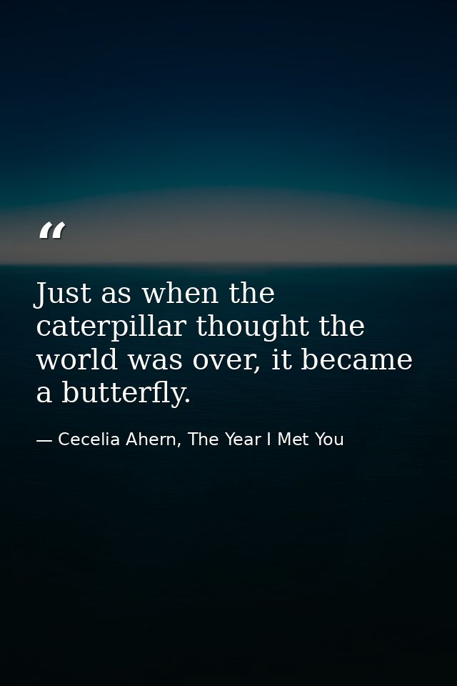 Just as when the caterpillar thought the world was over, it became a butterfly. — Cecelia Ahern, The Year I Met You