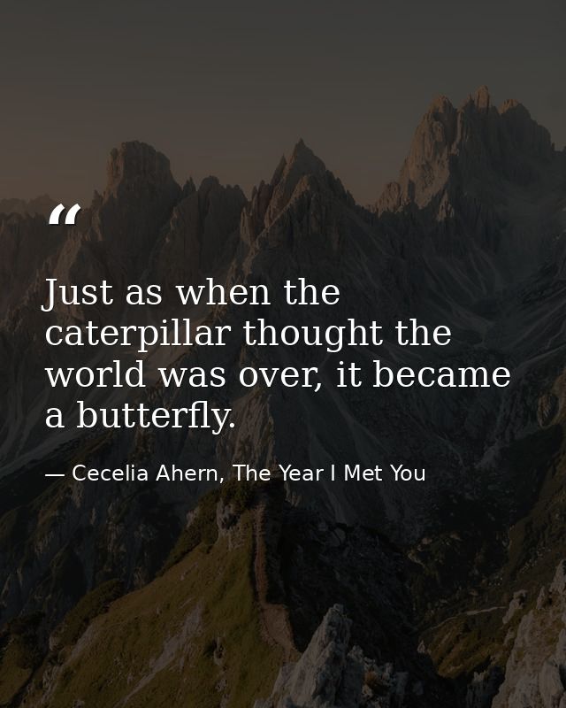 Just as when the caterpillar thought the world was over, it became a butterfly. — Cecelia Ahern, The Year I Met You