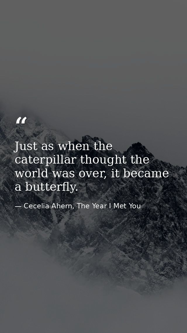 Just as when the caterpillar thought the world was over, it became a butterfly. — Cecelia Ahern, The Year I Met You