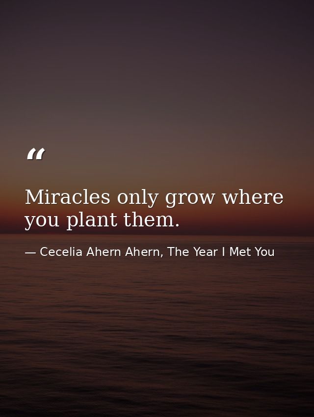 Miracles only grow where you plant them. — Cecelia Ahern Ahern, The Year I Met You
