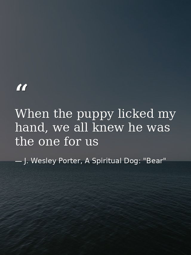 When the puppy licked my hand, we all knew he was the one for us — J. Wesley Porter, A Spiritual Dog: "Bear"