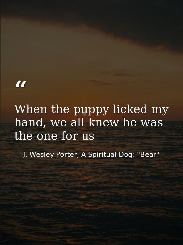 When the puppy licked my hand, we all knew he was the one for us — J. Wesley Porter, A Spiritual Dog: "Bear"