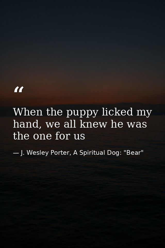 When the puppy licked my hand, we all knew he was the one for us — J. Wesley Porter, A Spiritual Dog: "Bear"