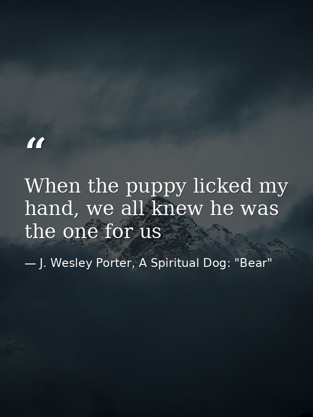 When the puppy licked my hand, we all knew he was the one for us — J. Wesley Porter, A Spiritual Dog: "Bear"