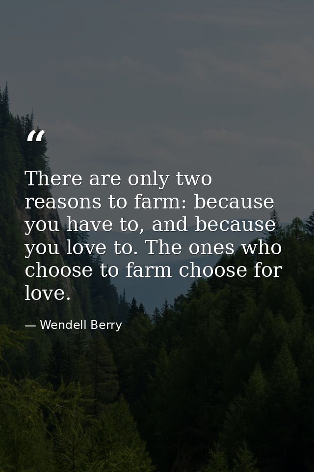 There are only two reasons to farm: because you have to, and because you love to. The ones who choose to farm choose for — Wendell Berry