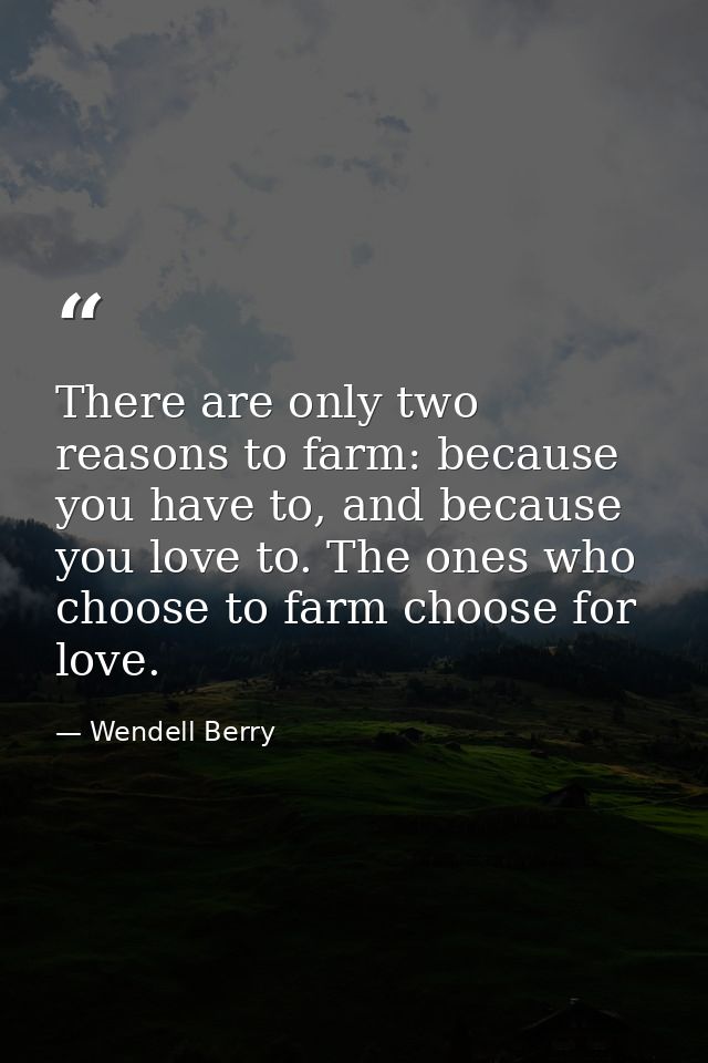 There are only two reasons to farm: because you have to, and because you love to. The ones who choose to farm choose for — Wendell Berry