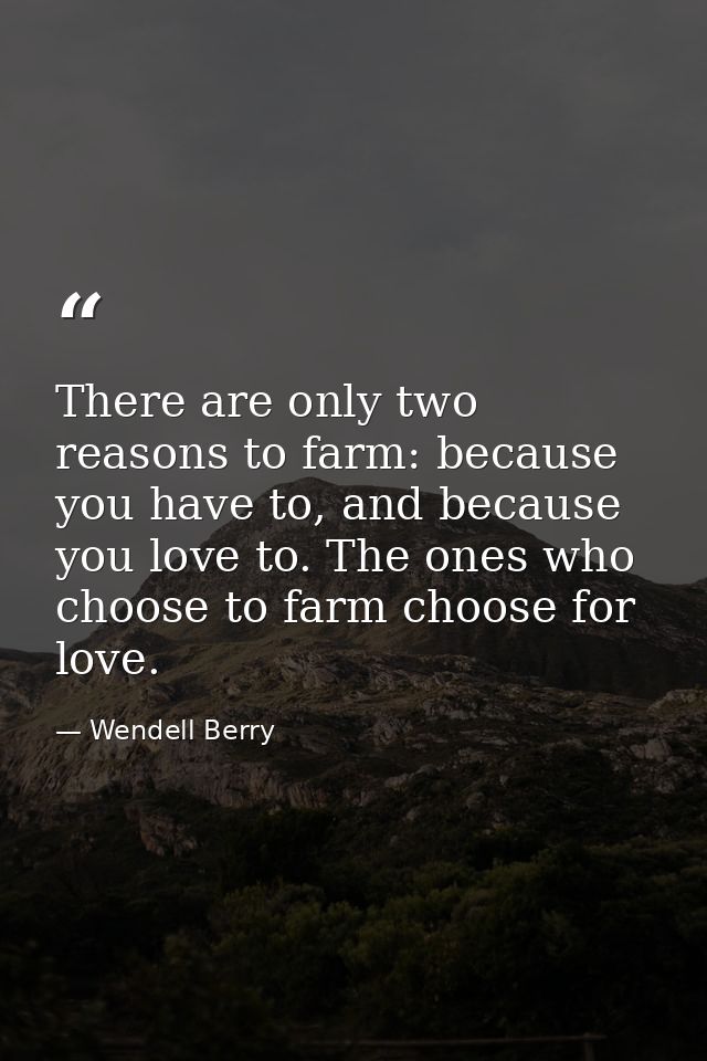 There are only two reasons to farm: because you have to, and because you love to. The ones who choose to farm choose for — Wendell Berry