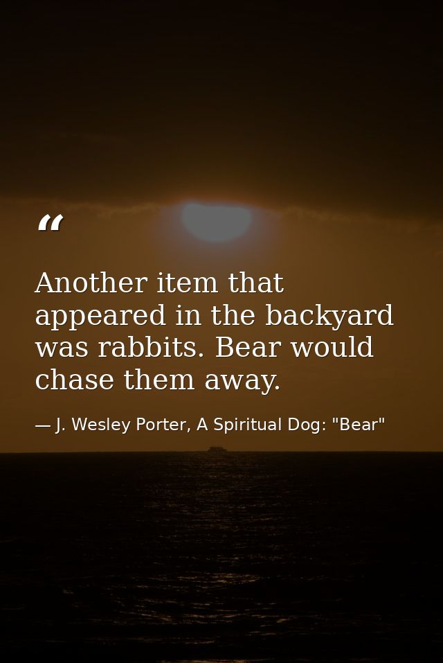 Another item that appeared in the backyard was rabbits. Bear would chase them away. — J. Wesley Porter, A Spiritual Dog: "Bear"