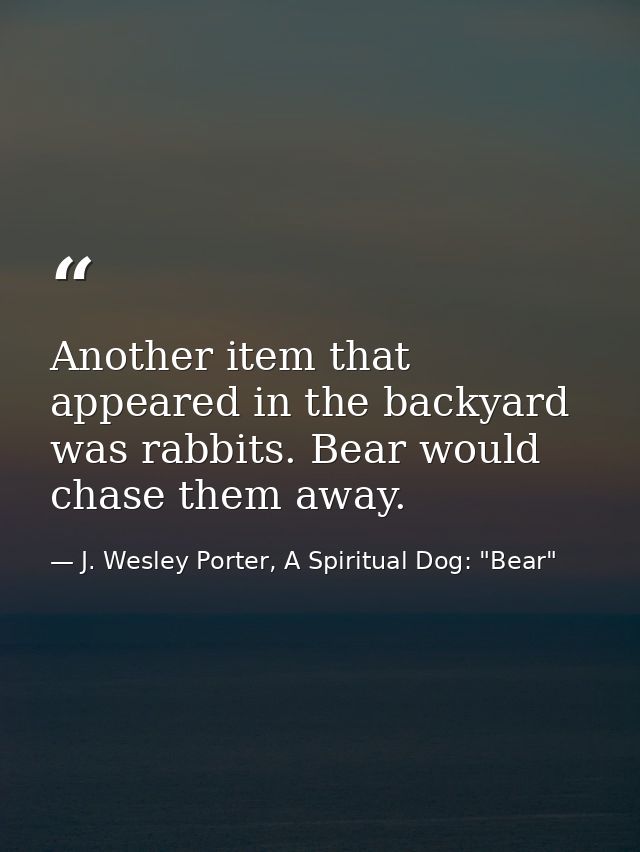Another item that appeared in the backyard was rabbits. Bear would chase them away. — J. Wesley Porter, A Spiritual Dog: "Bear"