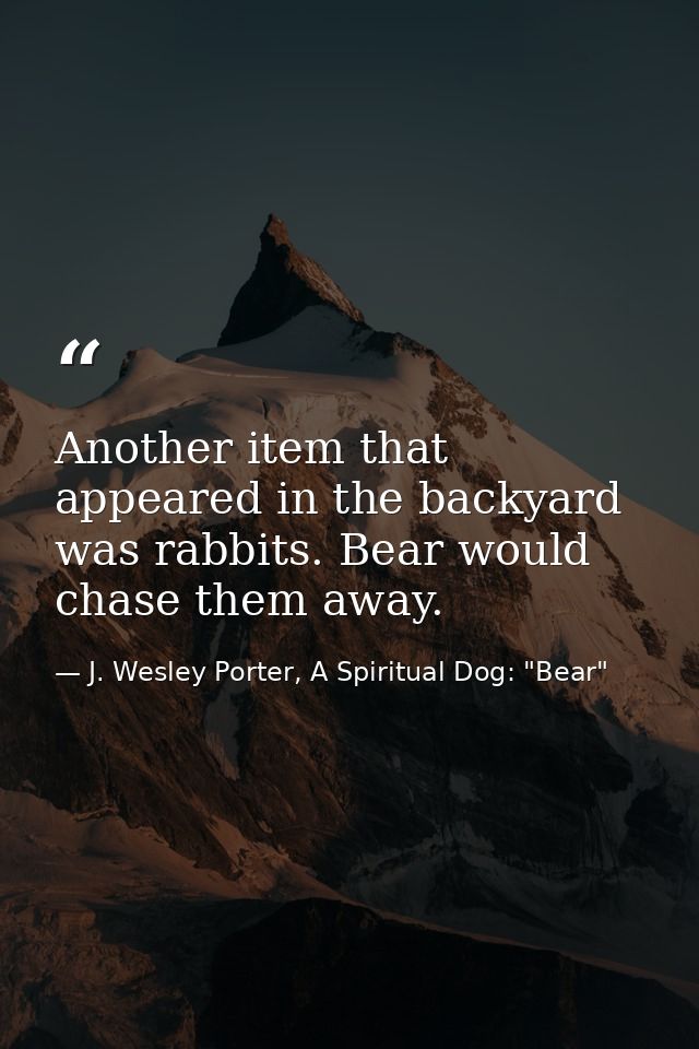 Another item that appeared in the backyard was rabbits. Bear would chase them away. — J. Wesley Porter, A Spiritual Dog: "Bear"