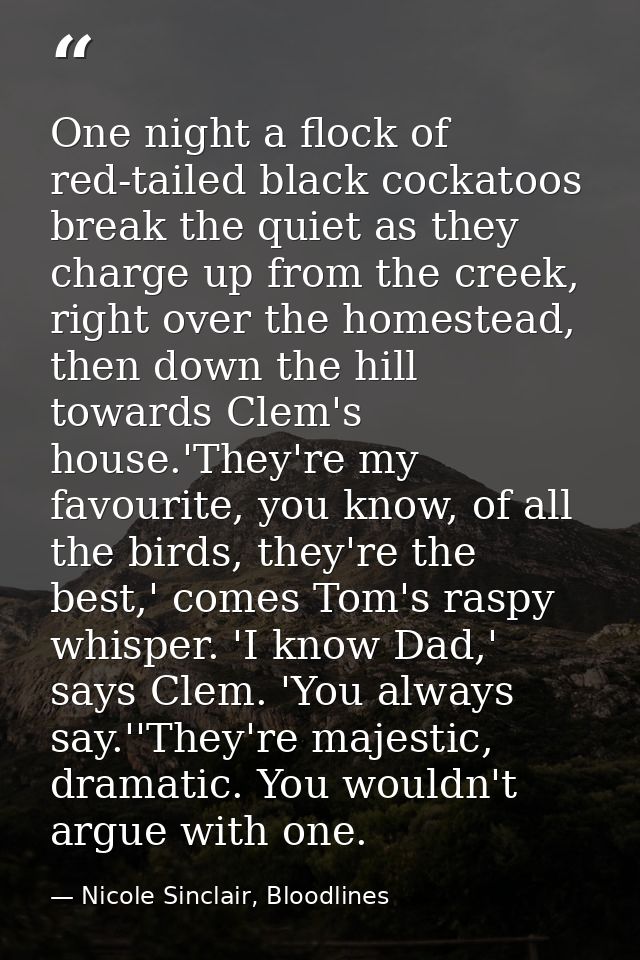 One night a flock of red-tailed black cockatoos break the quiet as they charge up from the creek, right over the homeste — Nicole Sinclair, Bloodlines