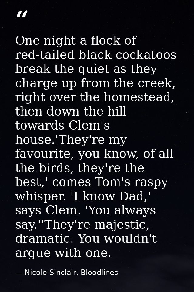 One night a flock of red-tailed black cockatoos break the quiet as they charge up from the creek, right over the homeste — Nicole Sinclair, Bloodlines