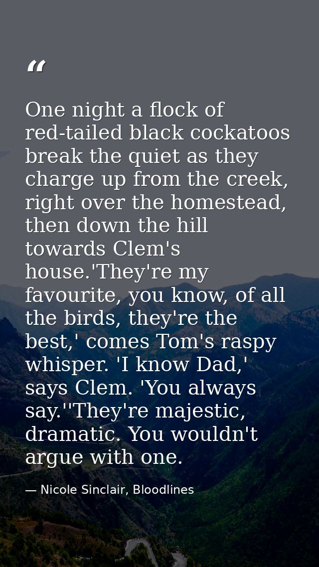 One night a flock of red-tailed black cockatoos break the quiet as they charge up from the creek, right over the homeste — Nicole Sinclair, Bloodlines