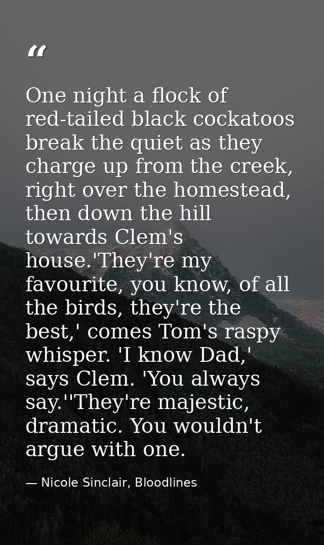 One night a flock of red-tailed black cockatoos break the quiet as they charge up from the creek, right over the homeste — Nicole Sinclair, Bloodlines