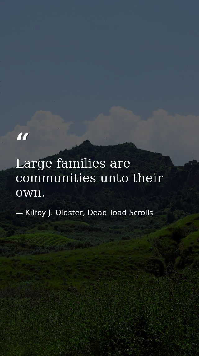 Large families are communities unto their own. — Kilroy J. Oldster, Dead Toad Scrolls