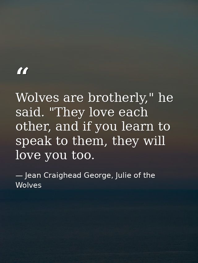 Wolves are brotherly," he said. "They love each other, and if you learn to speak to them, they will love you too. — Jean Craighead George, Julie of the Wolves