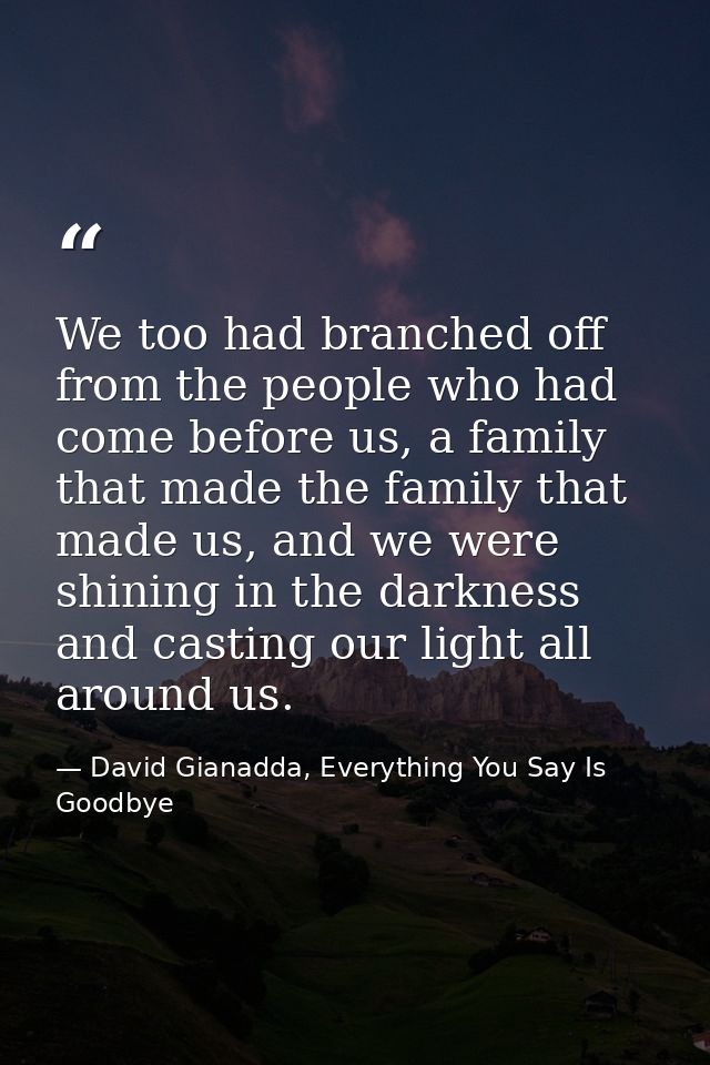 We too had branched off from the people who had come before us, a family that made the family that made us, and we were  — David Gianadda, Everything You Say Is Goodbye