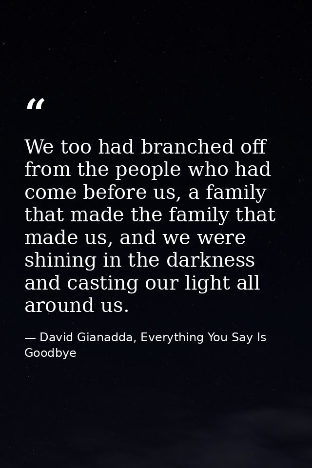 We too had branched off from the people who had come before us, a family that made the family that made us, and we were  — David Gianadda, Everything You Say Is Goodbye