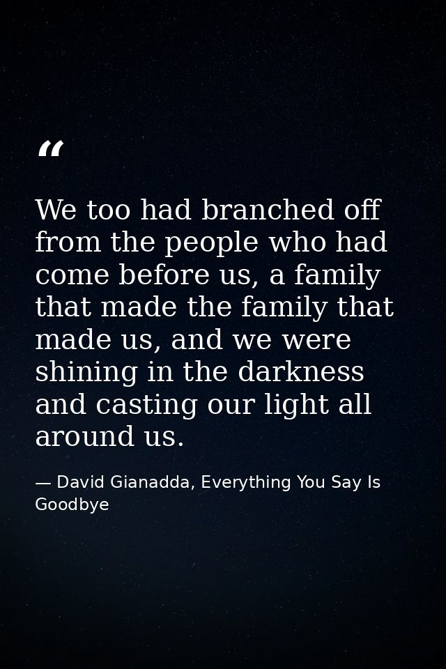 We too had branched off from the people who had come before us, a family that made the family that made us, and we were  — David Gianadda, Everything You Say Is Goodbye