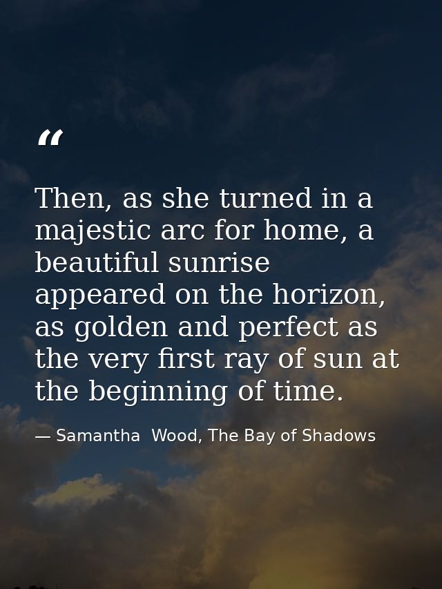 Then, as she turned in a majestic arc for home, a beautiful sunrise appeared on the horizon, as golden and perfect as th — Samantha  Wood, The Bay of Shadows