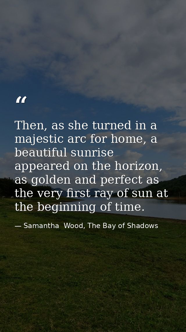 Then, as she turned in a majestic arc for home, a beautiful sunrise appeared on the horizon, as golden and perfect as th — Samantha  Wood, The Bay of Shadows