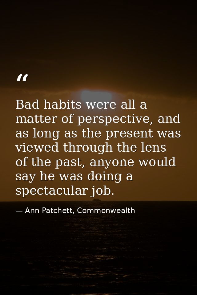 Bad habits were all a matter of perspective, and as long as the present was viewed through the lens of the past, anyone  — Ann Patchett, Commonwealth