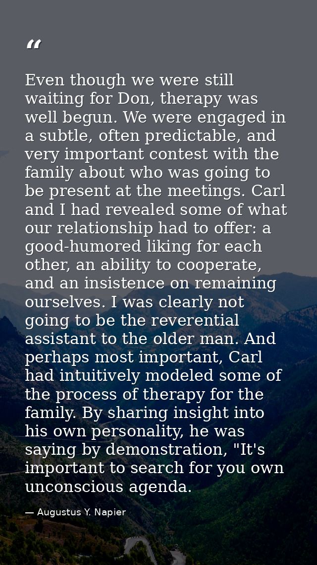 Even though we were still waiting for Don, therapy was well begun. We were engaged in a subtle, often predictable, and v — Augustus Y. Napier