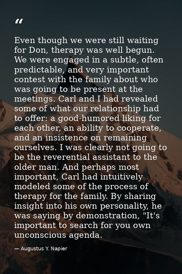 Even though we were still waiting for Don, therapy was well begun. We were engaged in a subtle, often predictable, and v — Augustus Y. Napier