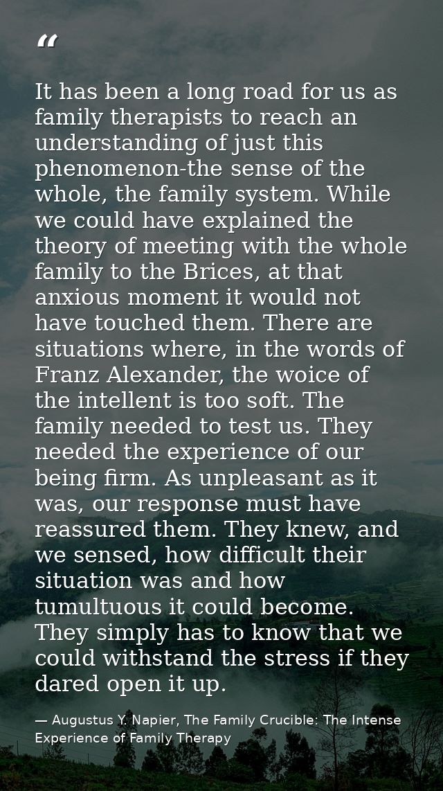 It has been a long road for us as family therapists to reach an understanding of just this phenomenon-the sense of the w — Augustus Y. Napier, The Family Crucible: The Intense Experience of Family Therapy