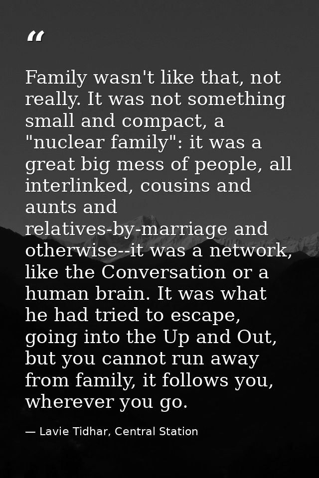 Family wasn't like that, not really. It was not something small and compact, a "nuclear family": it was a great big mess — Lavie Tidhar, Central Station