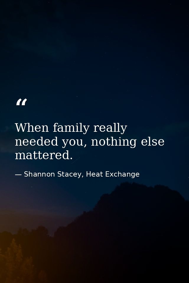 When family really needed you, nothing else mattered. — Shannon Stacey, Heat Exchange