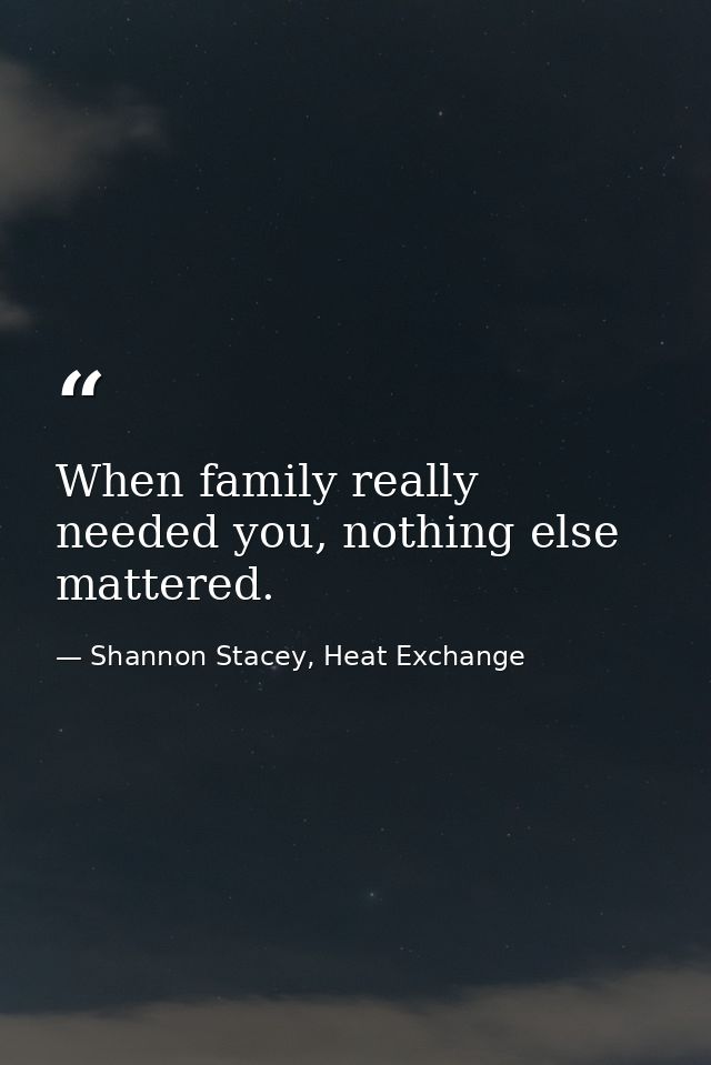 When family really needed you, nothing else mattered. — Shannon Stacey, Heat Exchange