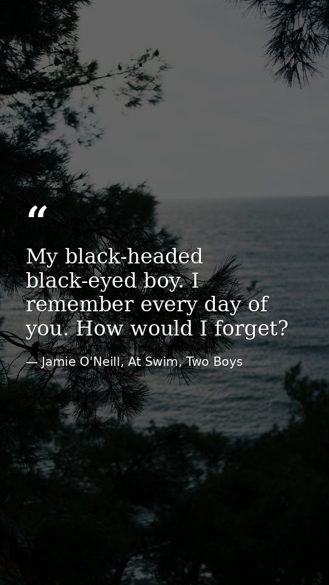 My black-headed black-eyed boy. I remember every day of you. How would I forget? — Jamie O'Neill, At Swim, Two Boys