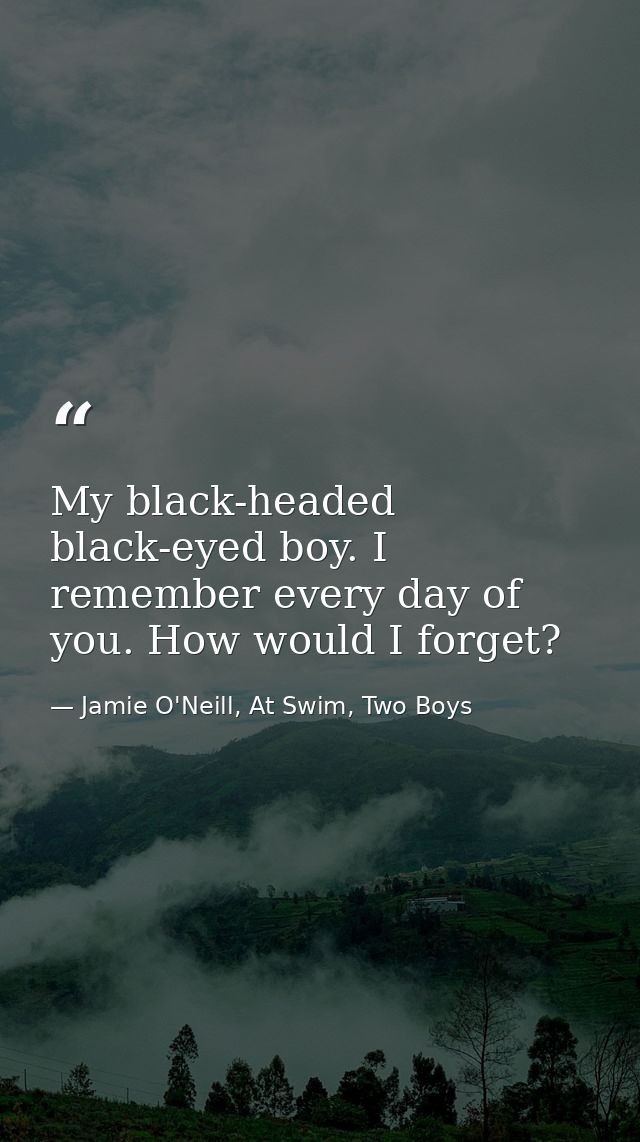 My black-headed black-eyed boy. I remember every day of you. How would I forget? — Jamie O'Neill, At Swim, Two Boys