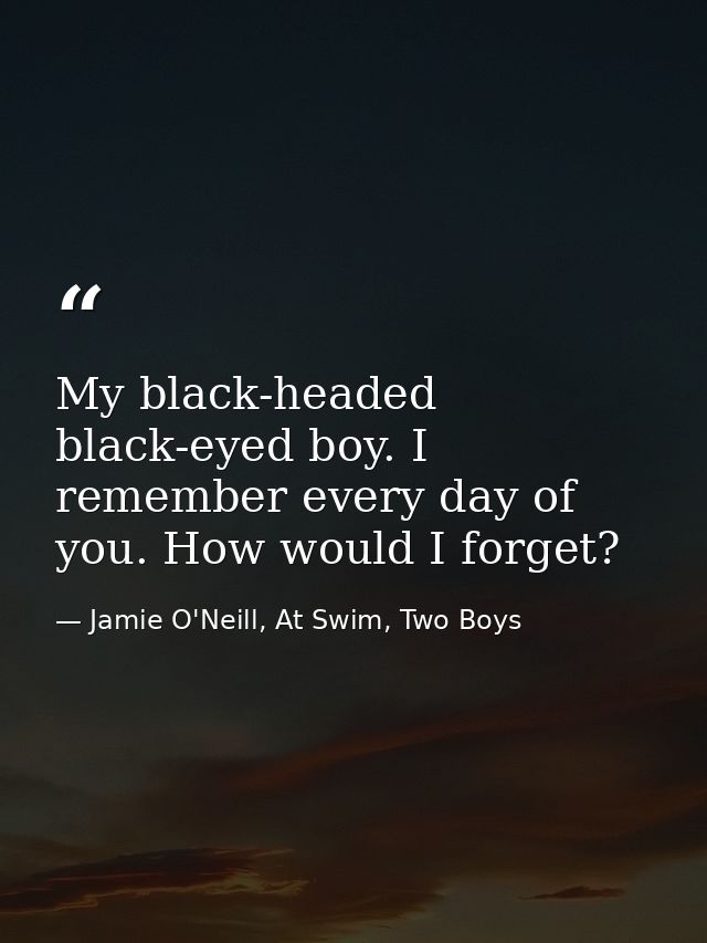 My black-headed black-eyed boy. I remember every day of you. How would I forget? — Jamie O'Neill, At Swim, Two Boys
