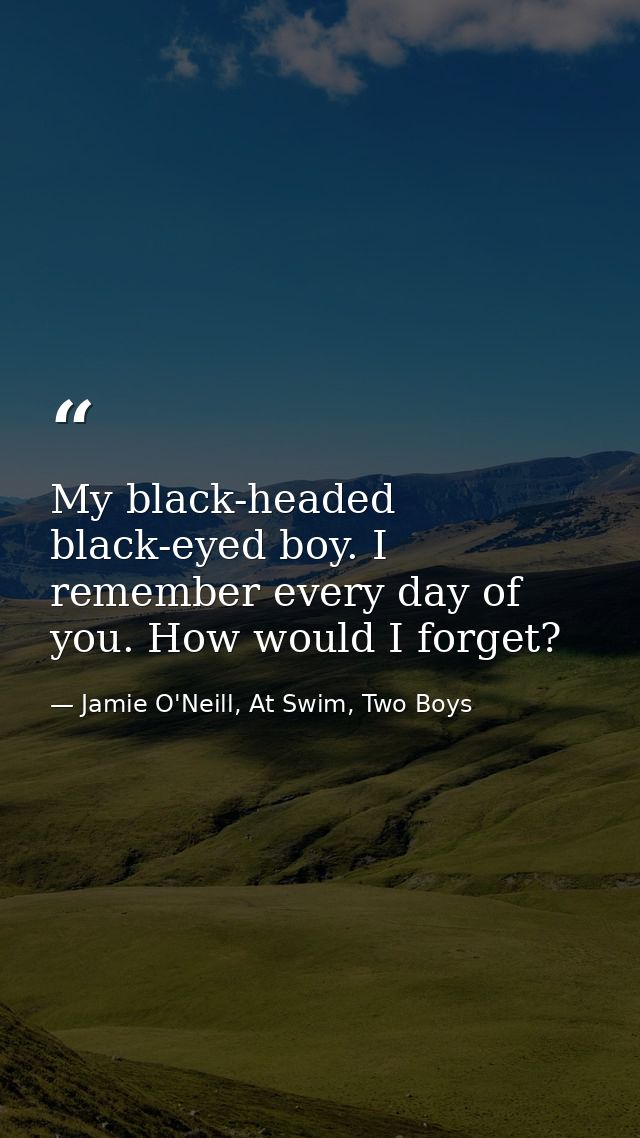 My black-headed black-eyed boy. I remember every day of you. How would I forget? — Jamie O'Neill, At Swim, Two Boys