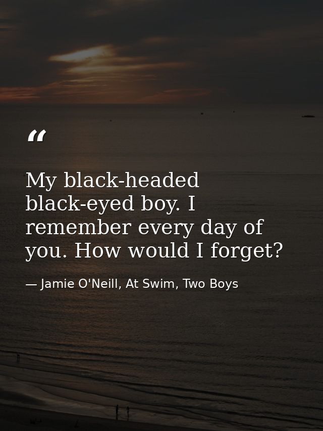 My black-headed black-eyed boy. I remember every day of you. How would I forget? — Jamie O'Neill, At Swim, Two Boys
