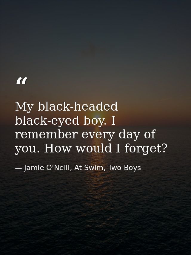 My black-headed black-eyed boy. I remember every day of you. How would I forget? — Jamie O'Neill, At Swim, Two Boys