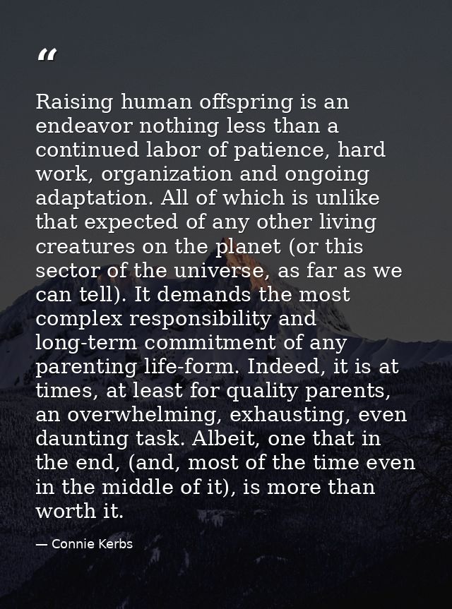 Raising human offspring is an endeavor nothing less than a continued labor of patience, hard work, organization and ongo — Connie Kerbs