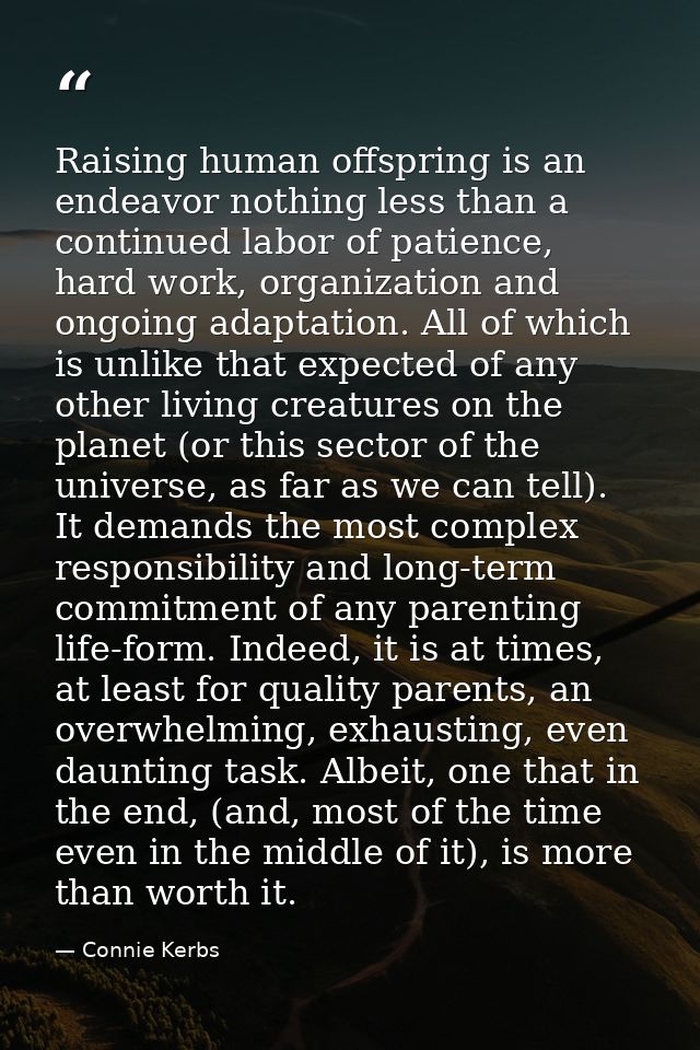 Raising human offspring is an endeavor nothing less than a continued labor of patience, hard work, organization and ongo — Connie Kerbs