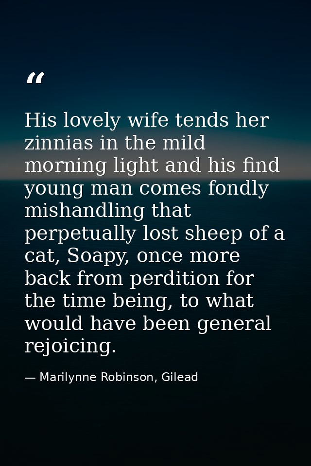 His lovely wife tends her zinnias in the mild morning light and his find young man comes fondly mishandling that perpetu — Marilynne Robinson, Gilead