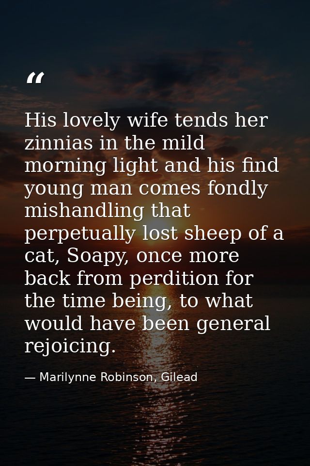 His lovely wife tends her zinnias in the mild morning light and his find young man comes fondly mishandling that perpetu — Marilynne Robinson, Gilead