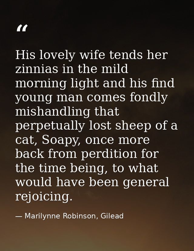 His lovely wife tends her zinnias in the mild morning light and his find young man comes fondly mishandling that perpetu — Marilynne Robinson, Gilead