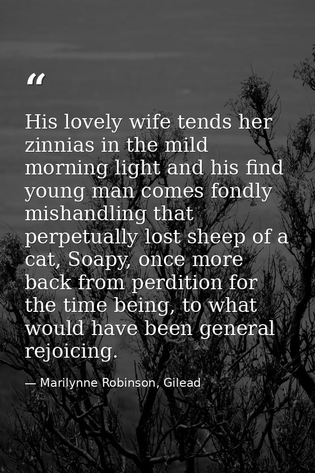 His lovely wife tends her zinnias in the mild morning light and his find young man comes fondly mishandling that perpetu — Marilynne Robinson, Gilead